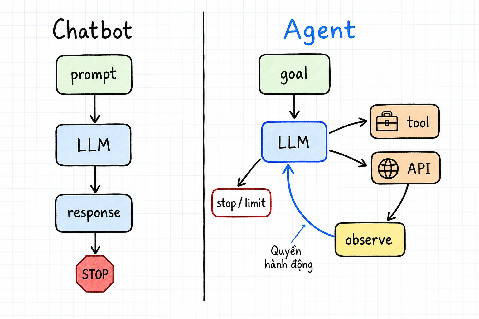 Sơ đồ so sánh: chatbot đi một chiều từ câu hỏi đến câu trả lời rồi kết thúc; agent chạy vòng lặp giữa model, tool và kết quả quan sát trước khi đạt mục tiêu hoặc dừng